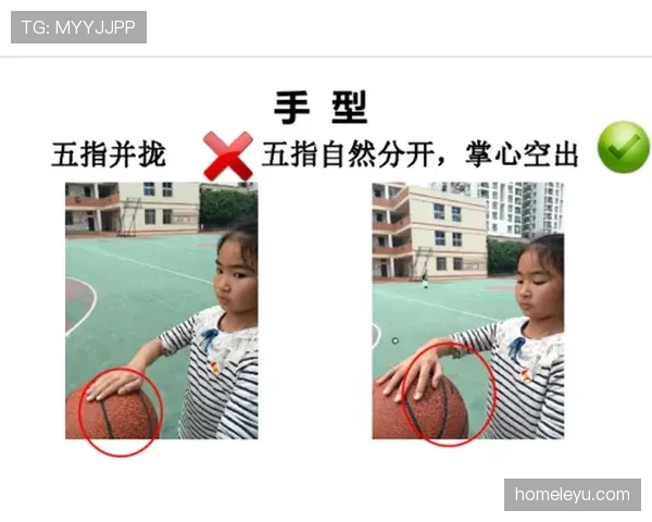 详细解析篮球运球规则中的判定标准与界限